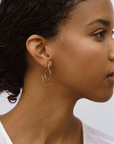 Orcas Earrings in Silver
