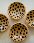Chita Dish