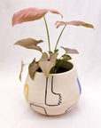 Mano Large Bulb Planter with Plant Inside