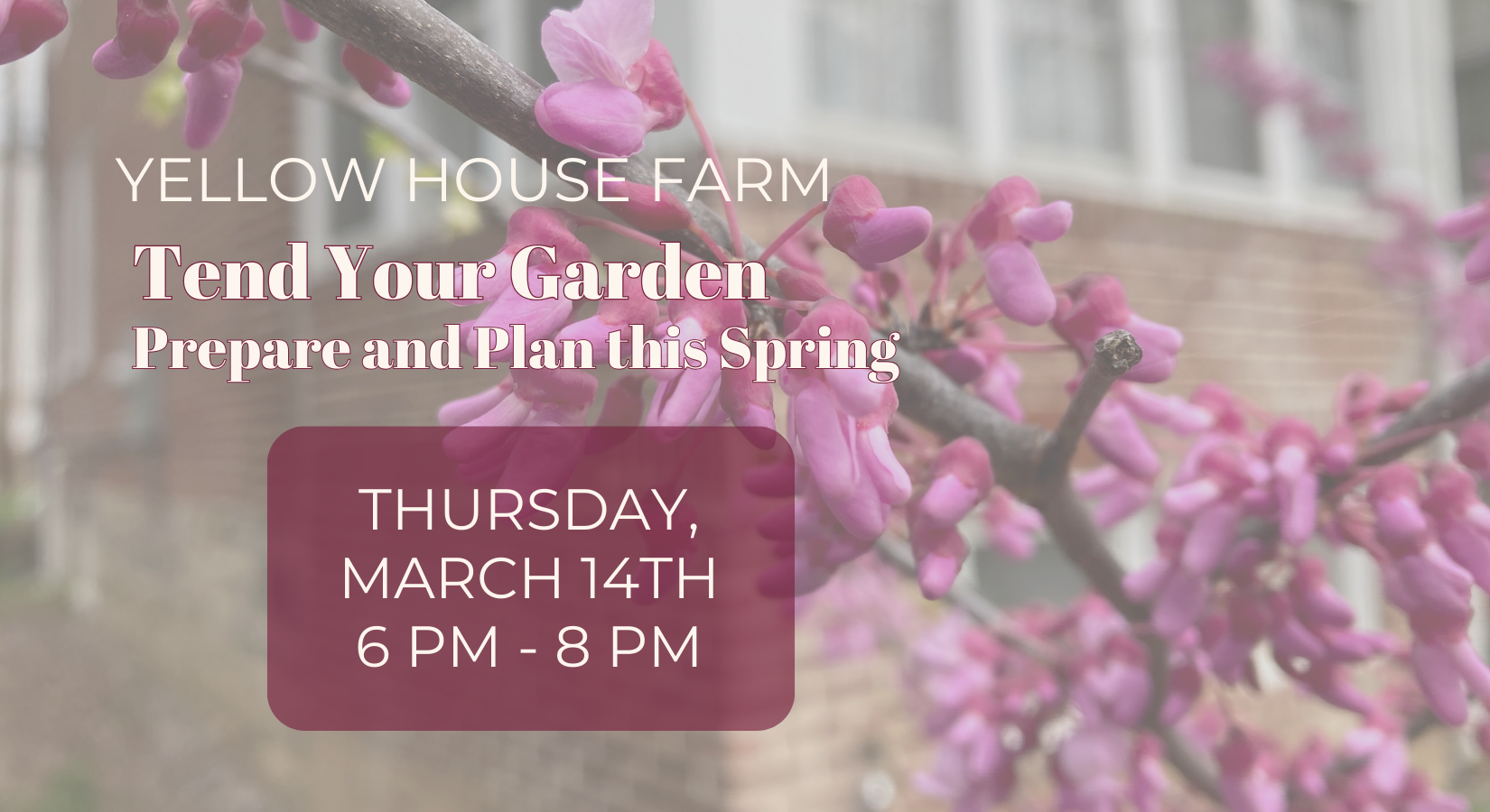 Tend your Garden with Yellow House Farm Workshop Flyer March 14th 6-8pm