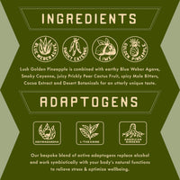 Ingredients and Adaptogens of Non-Alcoholic Spiced Pinarita Cocktail