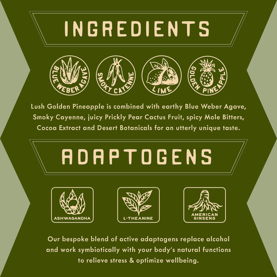 Ingredients and Adaptogens of Non-Alcoholic Spiced Pinarita Cocktail