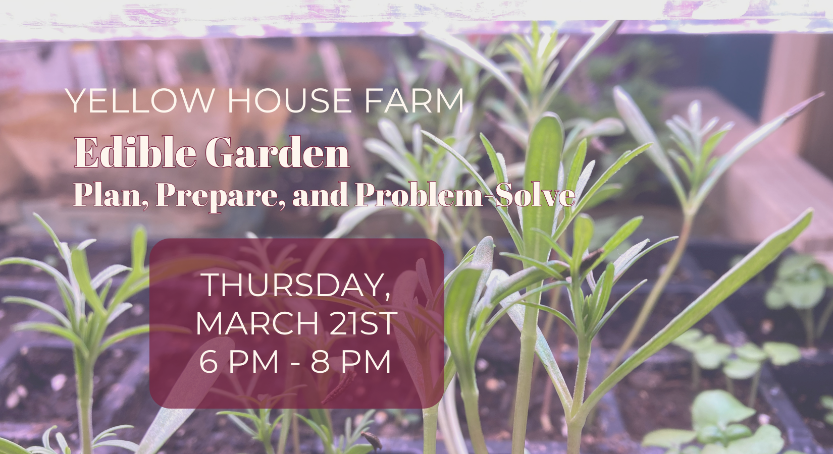 Yellow House Farm Edible Garden Flyer for March 21st 6-8pm