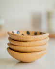 Chita Dish