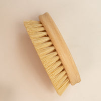 flat lay of an oval cleaning brush on it's side
