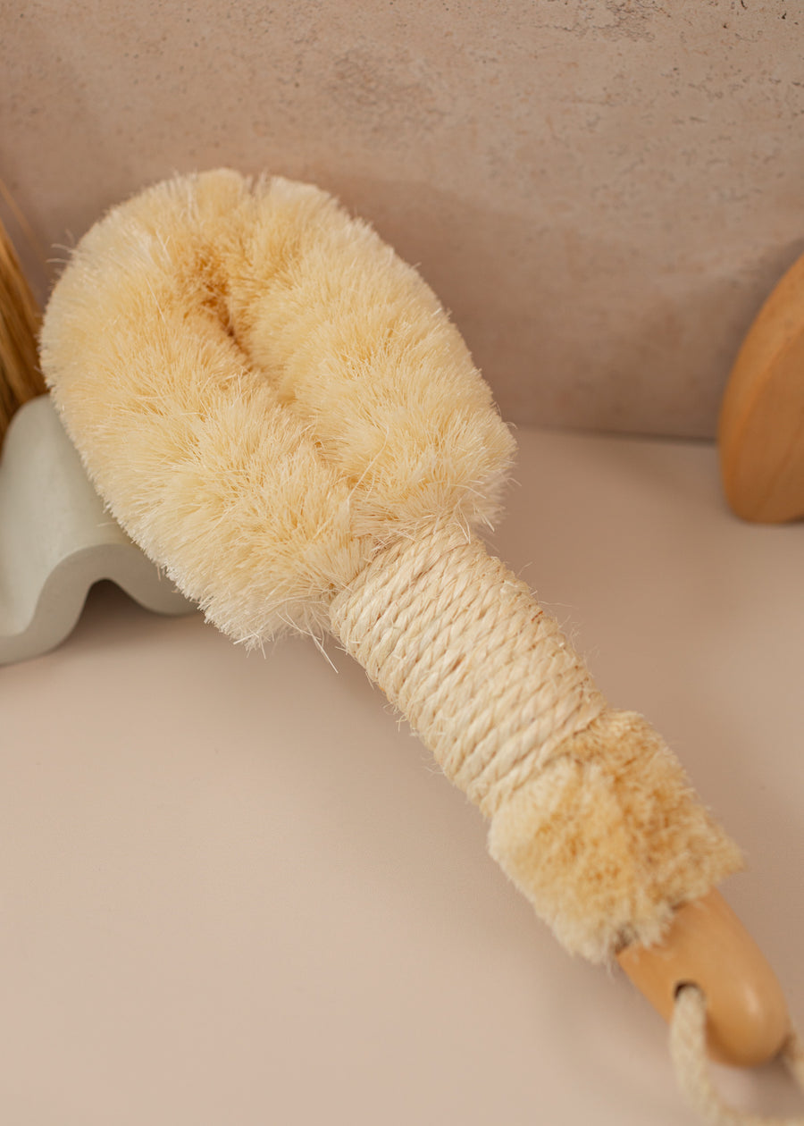 Dry brush propped up on a prop with rope around the handle. 