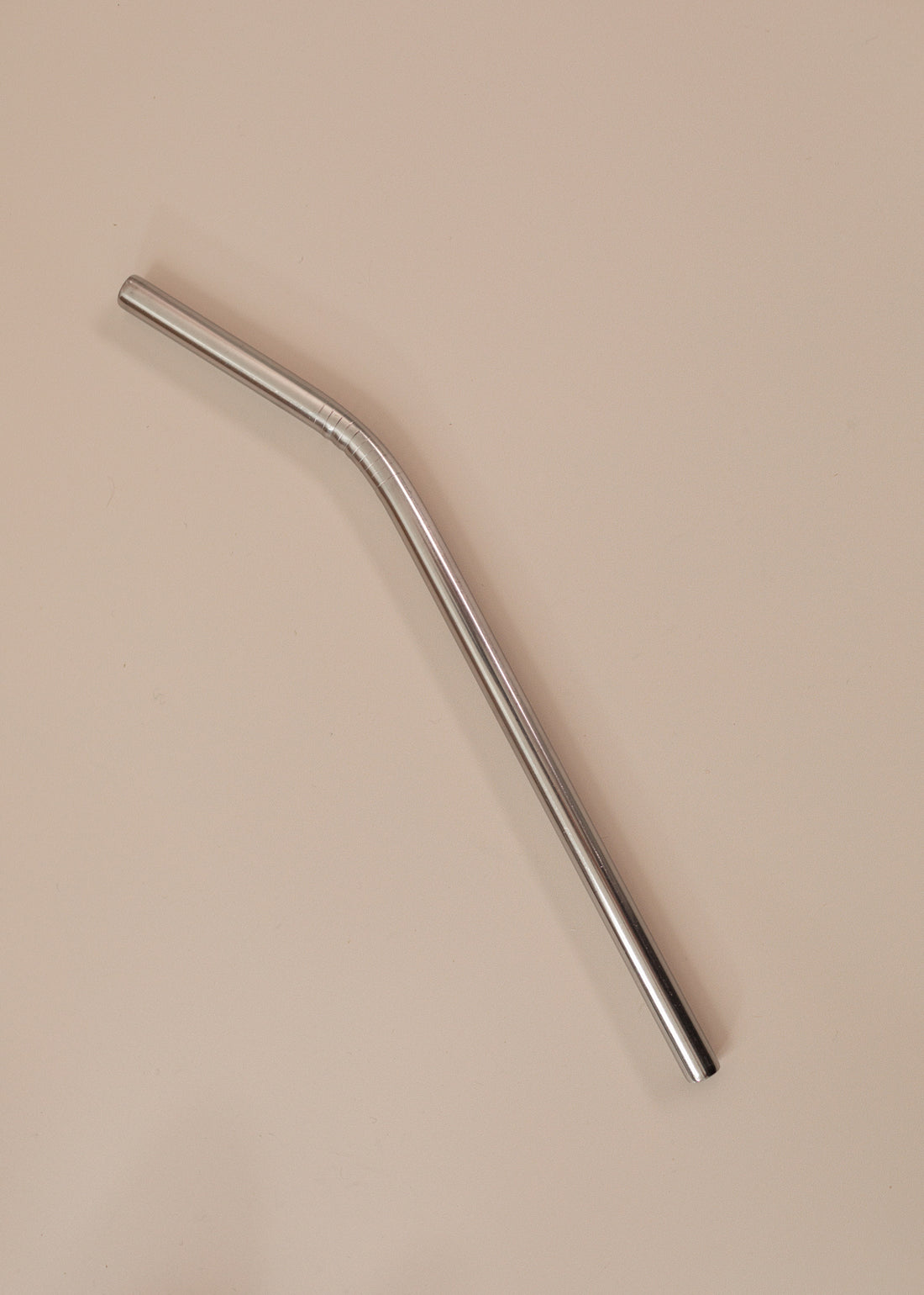 flatlay of a reusable silver straw
