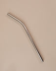 flatlay of a reusable silver straw
