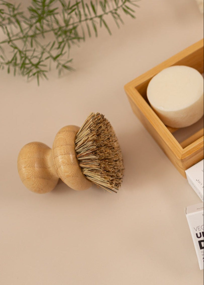 flatlay of a dish brush