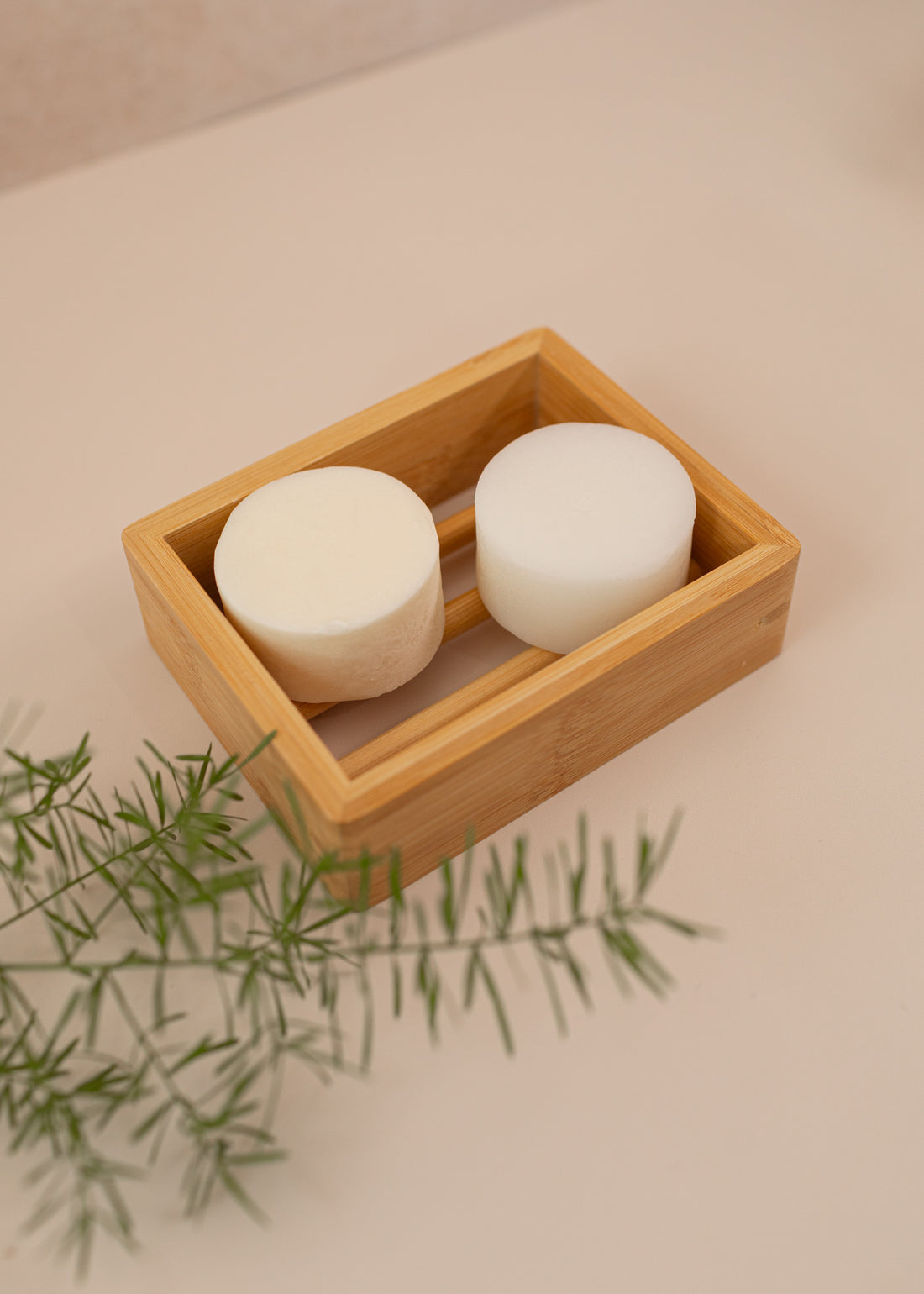 Solid Seaweed Shampoo