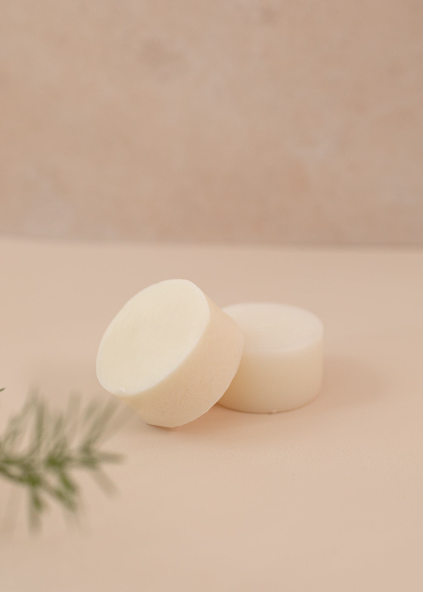 Photo of a shampoo and conditioner bar on a light pink backdrop