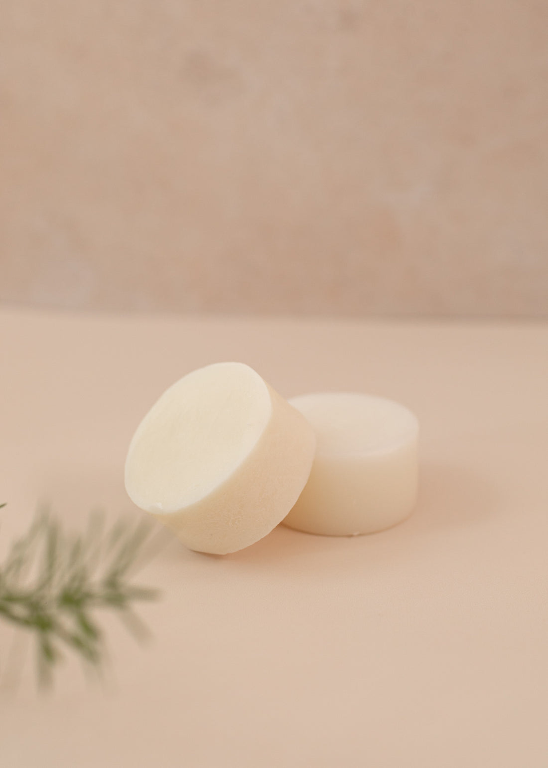 Solid Seaweed Shampoo
