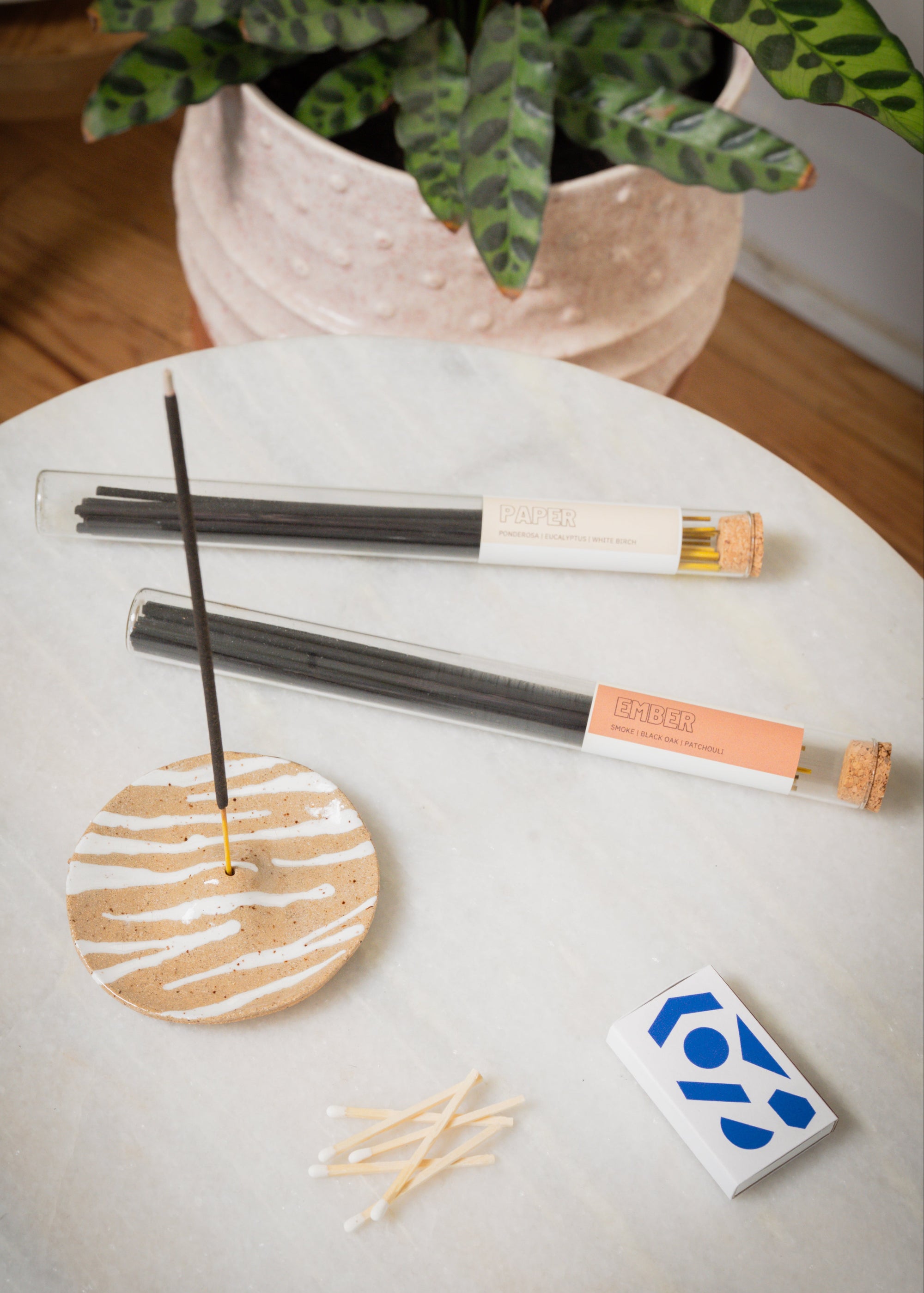 Incense sticks with a decorative holder on a white surface, with a plant in the background.