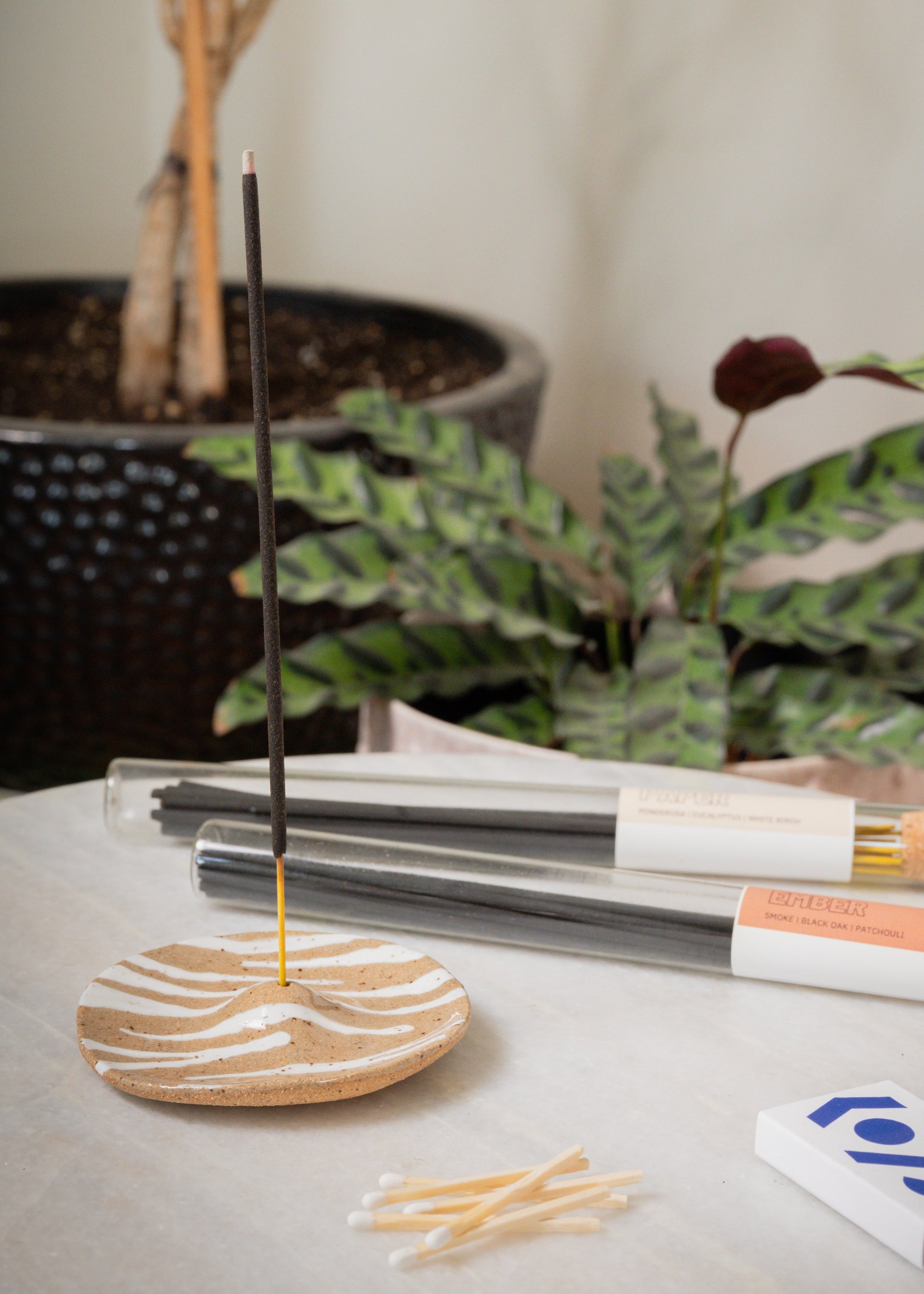 Incense sticks with a ceramic incense holder on a table with plants in the background
