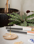 Incense sticks with a ceramic incense holder on a table with plants in the background