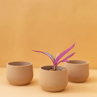 Mini Planter Trio in Tan