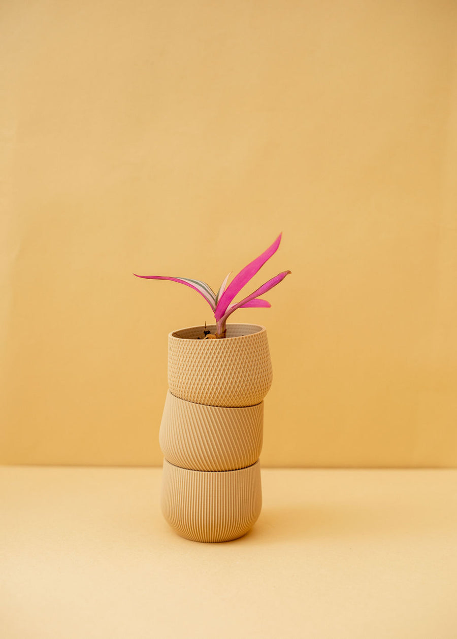 Mini Planter Trio in Tan